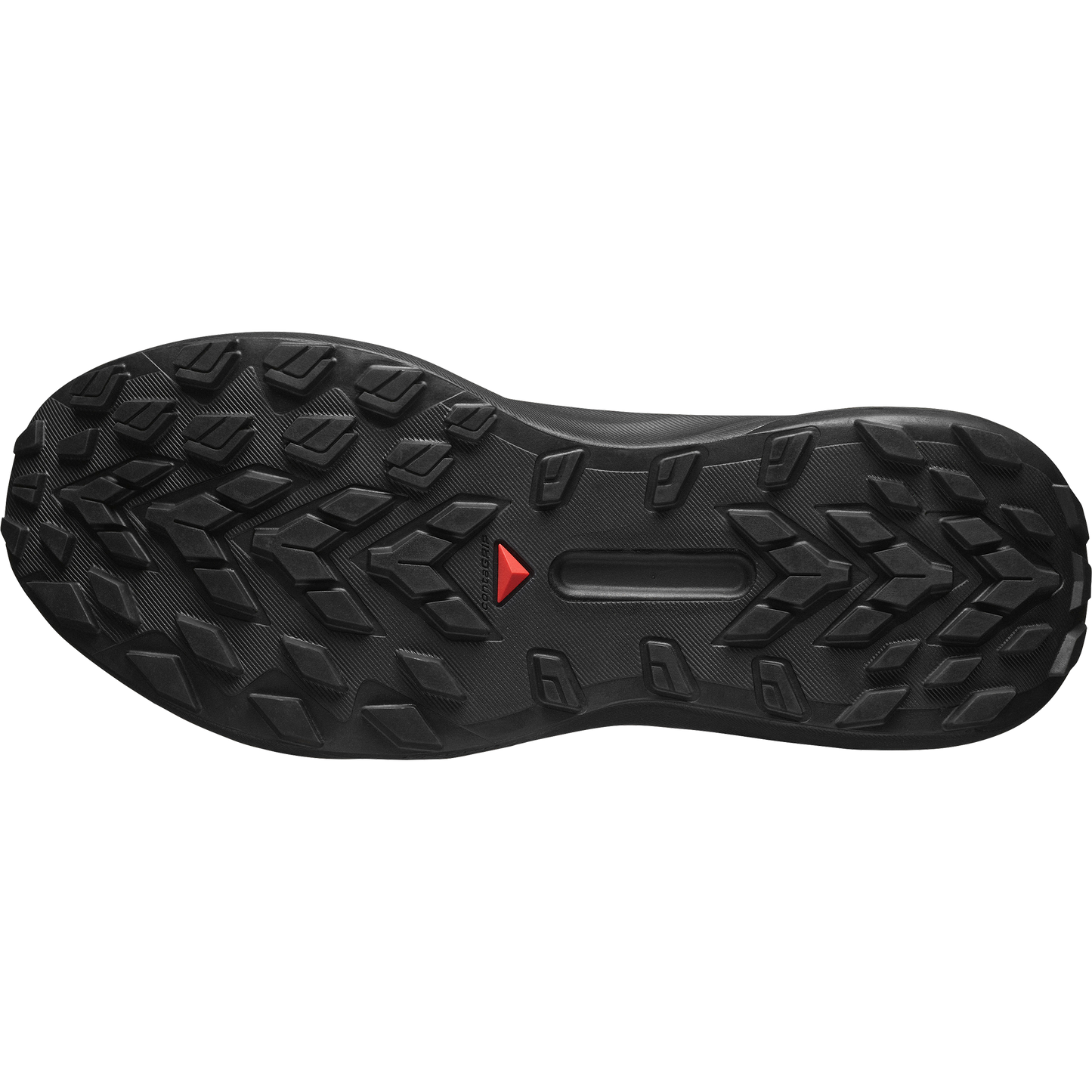 SALOMON GENESIS