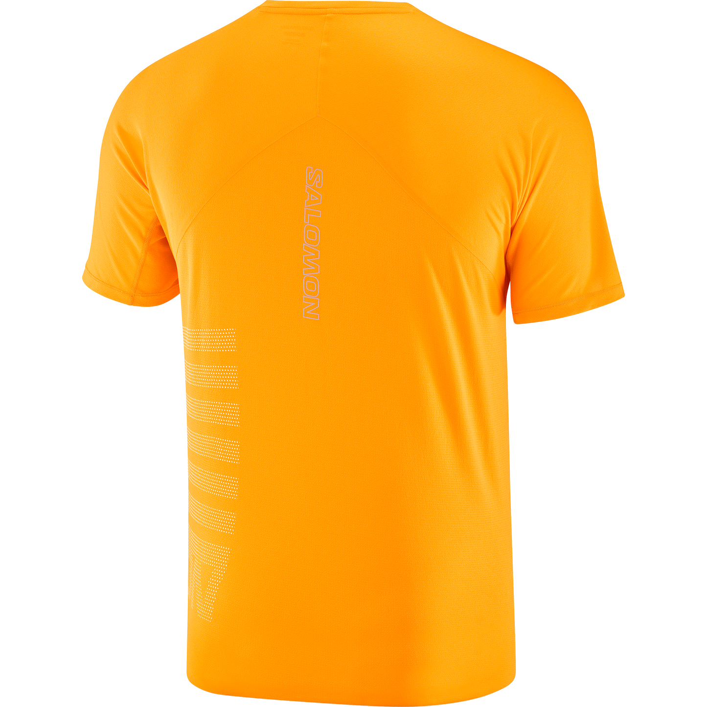 SALOMON SENSE AERO SS TEE GFX M