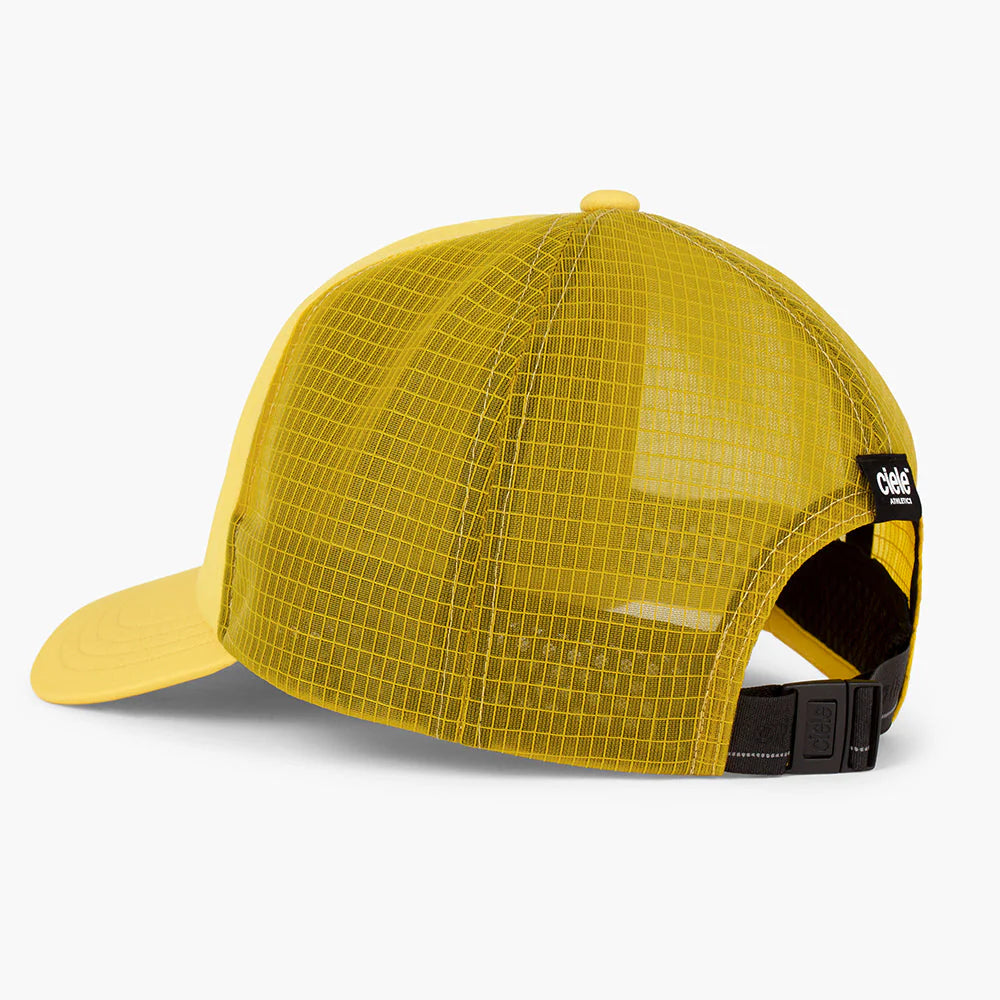 CIELE-TRLCAPSC-COMP-CAPITALCROSS.