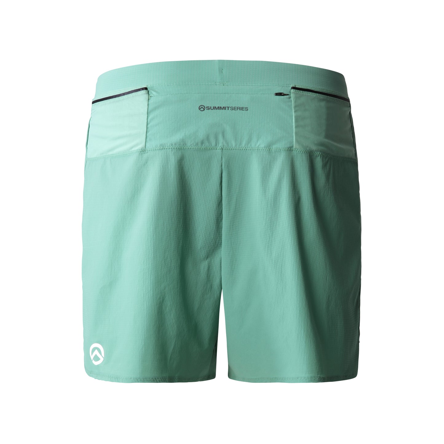 THE NORTH FACE PACESETTER RUN SHORT