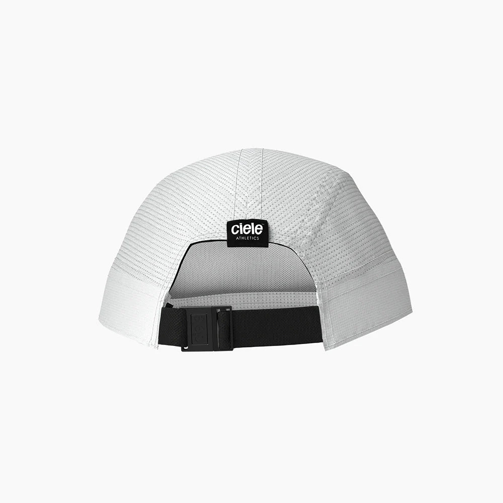 CIELE-ALZCAP CENTURY