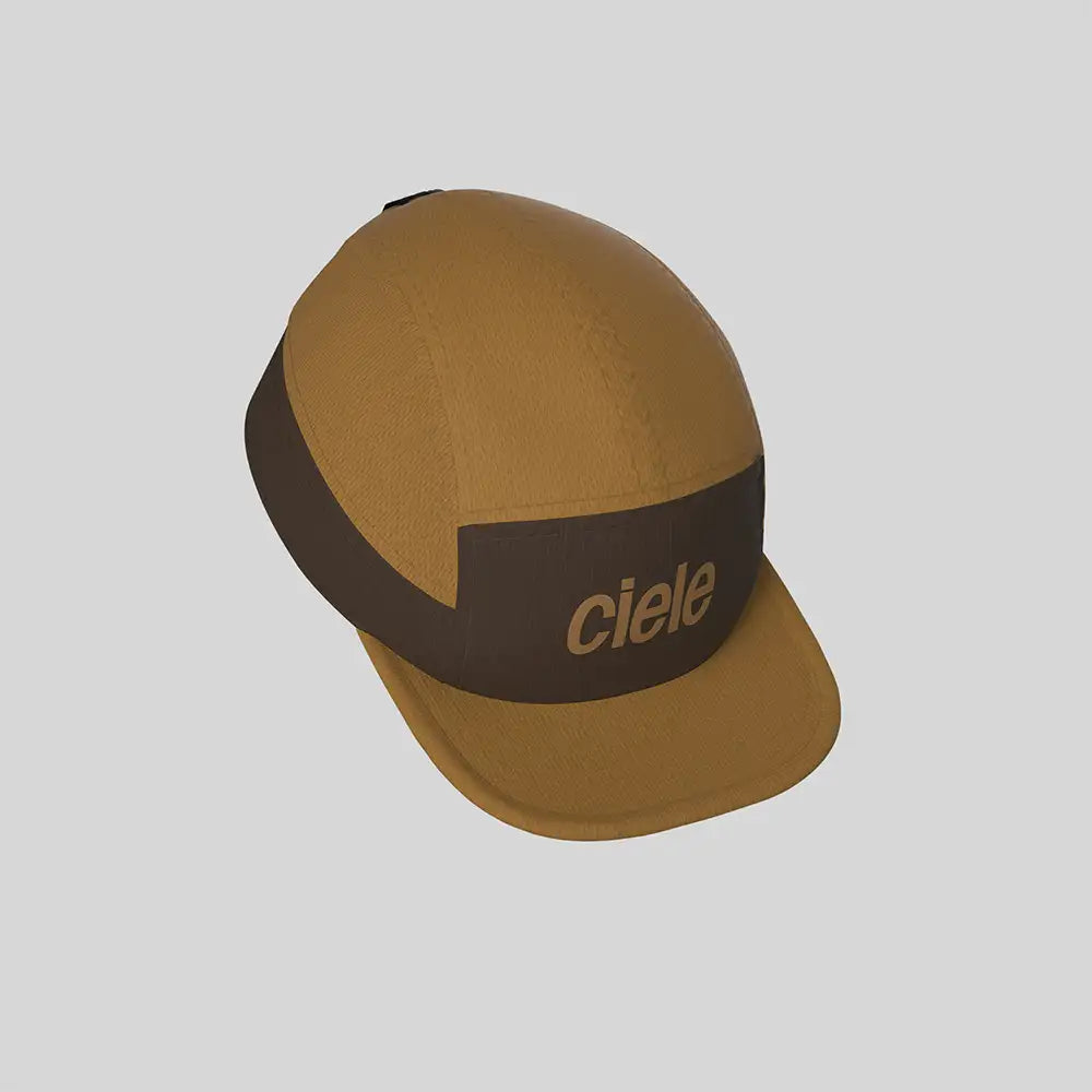 CIELE-ALZCAP-STANDARD CORP SMALL