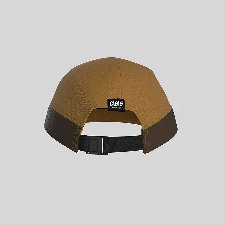 CIELE-ALZCAP-STANDARD CORP SMALL