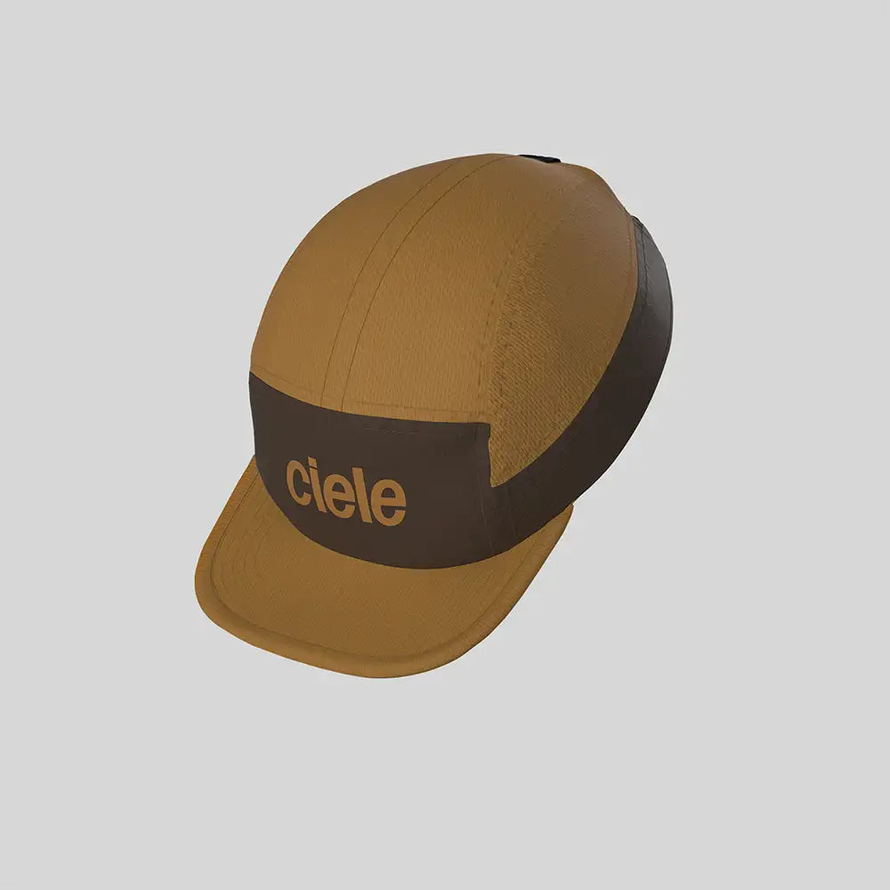 CIELE-ALZCAP-STANDARD CORP SMALL