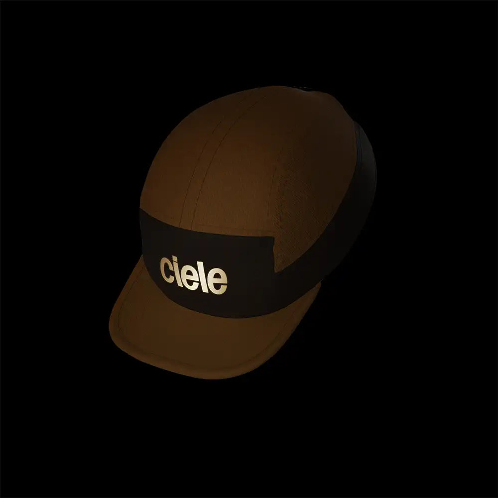 CIELE-ALZCAP-STANDARD CORP SMALL